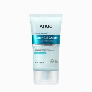 Anua - Kpop Demon Hunter Barrier Reboot Water Gel Cream - Gel-crème réparateur apaisant